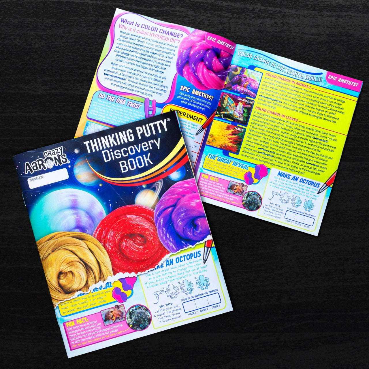 Putty Discovery Kit™