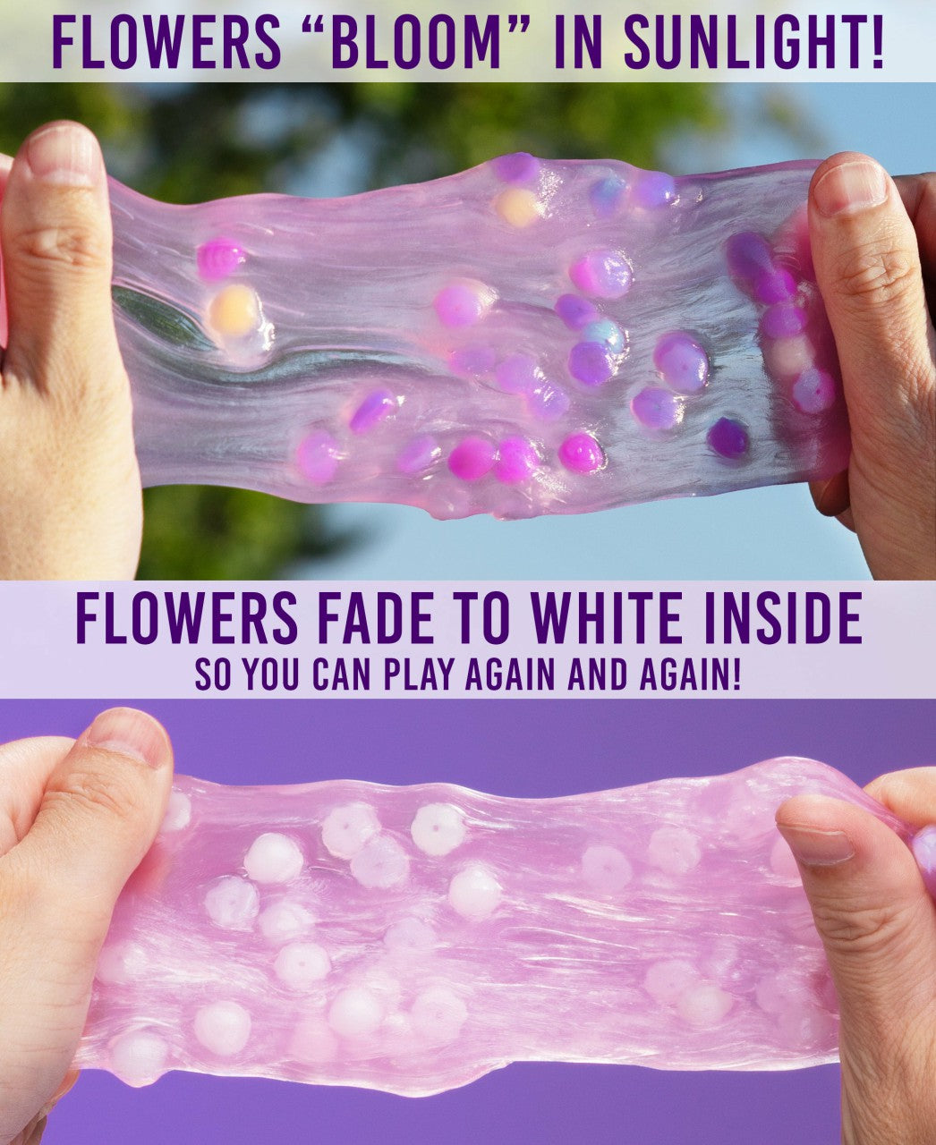Blooming Botanicals Trendsetters